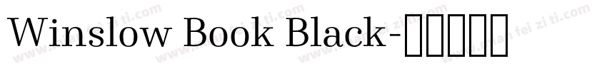 Winslow Book Black字体转换